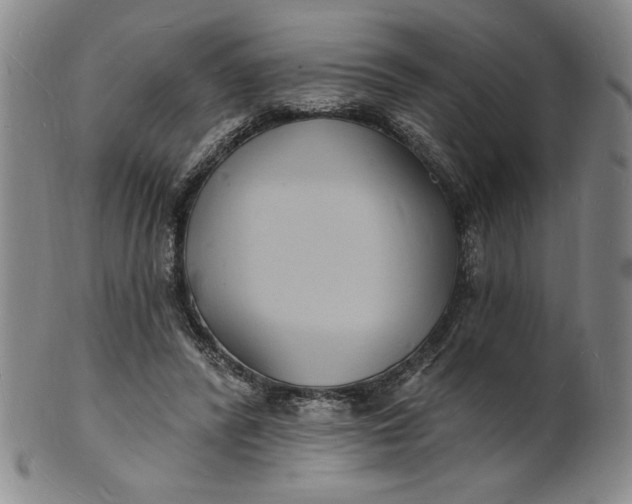 X0000102230400200808081352
