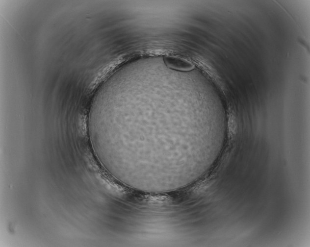 X0000102230401200808081352