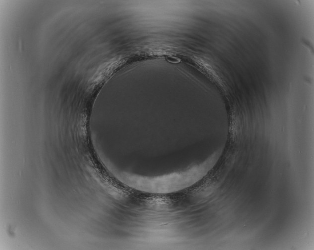 X0000102230402200808081352