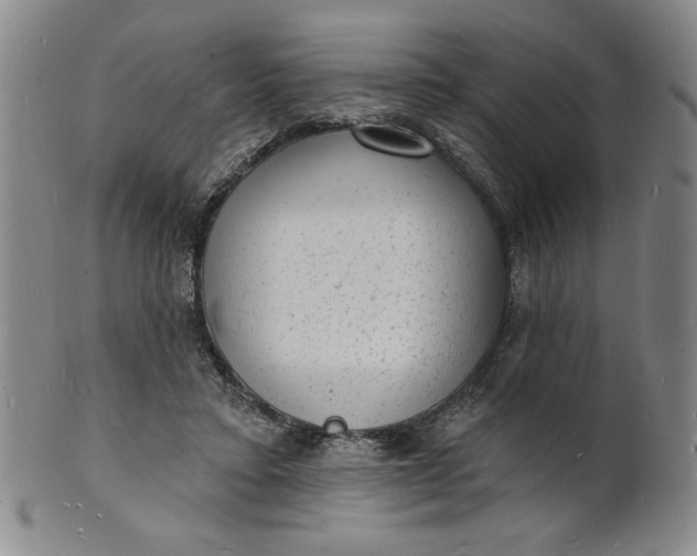 X0000102230403200808081352