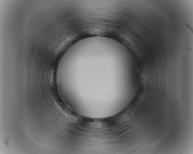X0000102230404200808081352