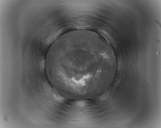 X0000102230405200808081352