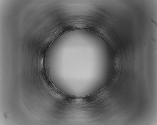 X0000102230406200808081352