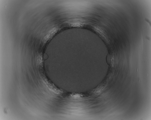 X0000102230407200808081352