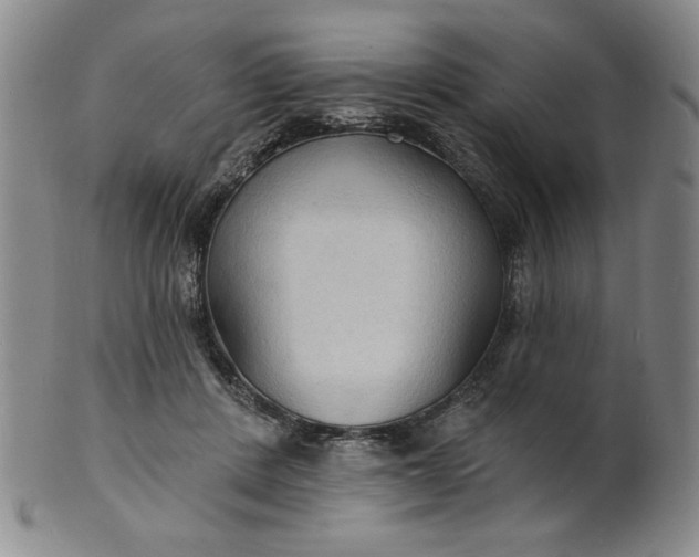 X0000102230408200808081352