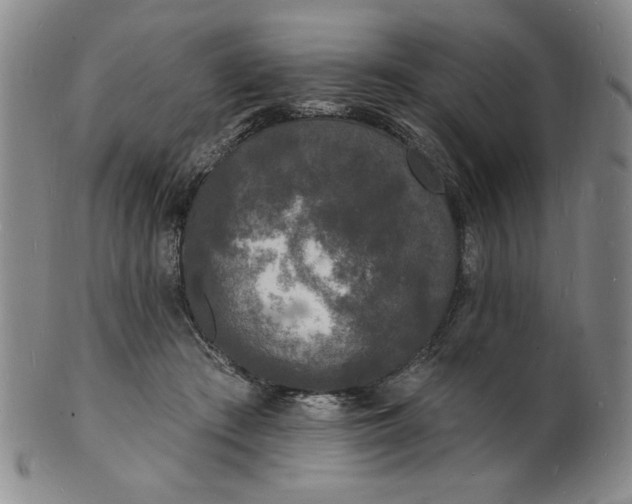 X0000102230409200808081352