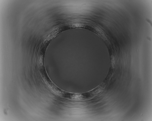 X0000102230410200808081352