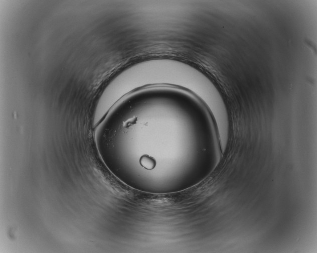 X0000102230411200808081352