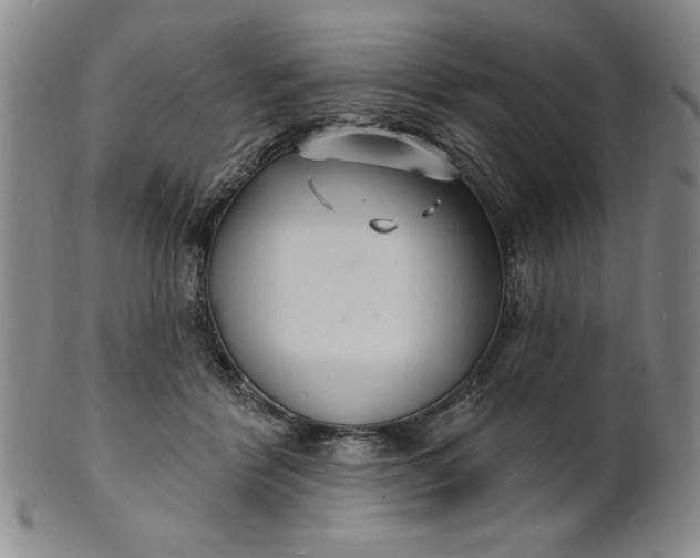 X0000102230412200808081352