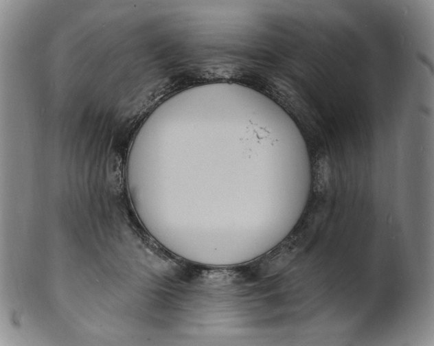 X0000102230414200808081352
