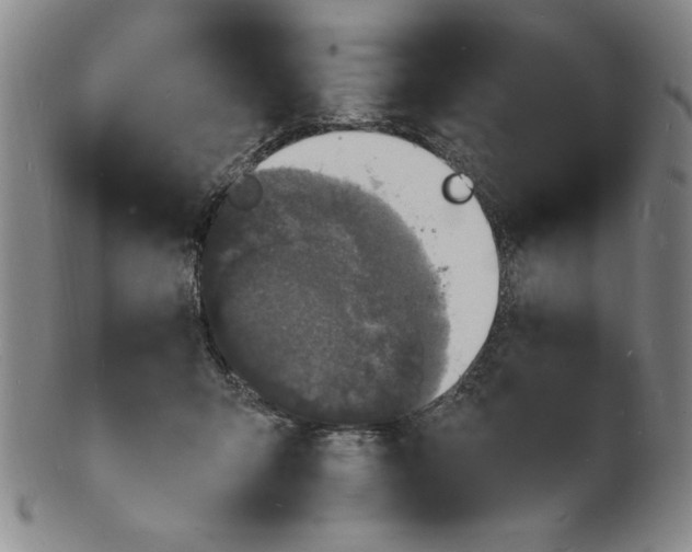 X0000102230415200808081352