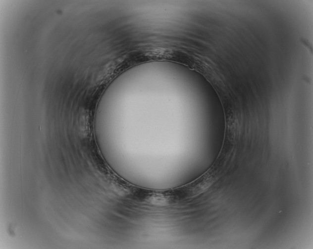 X0000102230416200808081352