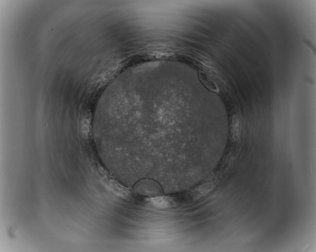 X0000102230417200808081352