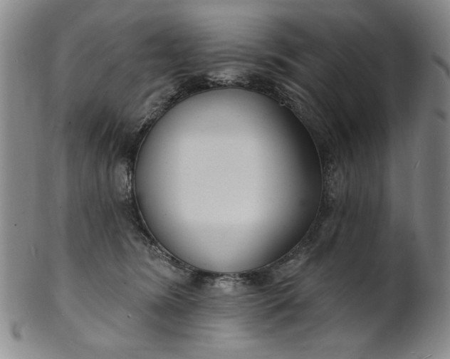 X0000102230420200808081352