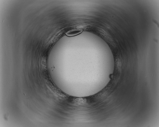 X0000102230421200808081352