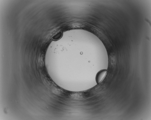 X0000102230422200808081352