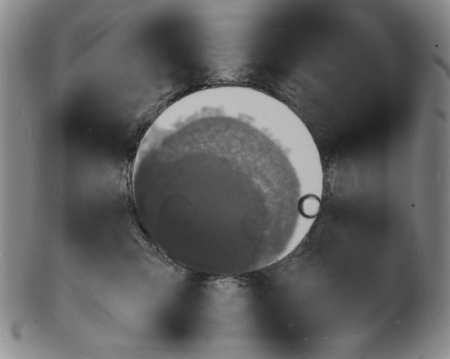 X0000102230423200808081352