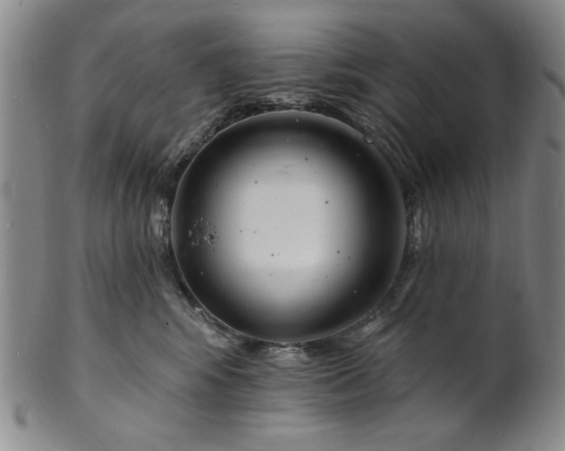 X0000102230424200808081352