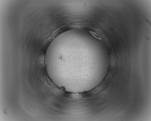 X0000102230425200808081352