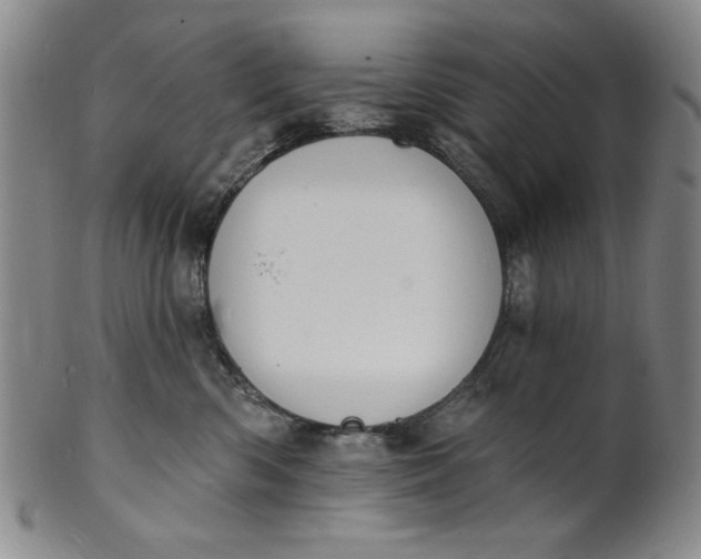 X0000102230426200808081352