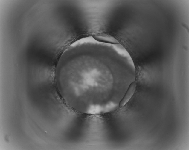 X0000102230427200808081352