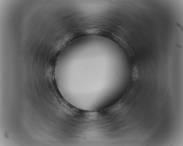 X0000102230428200808081352