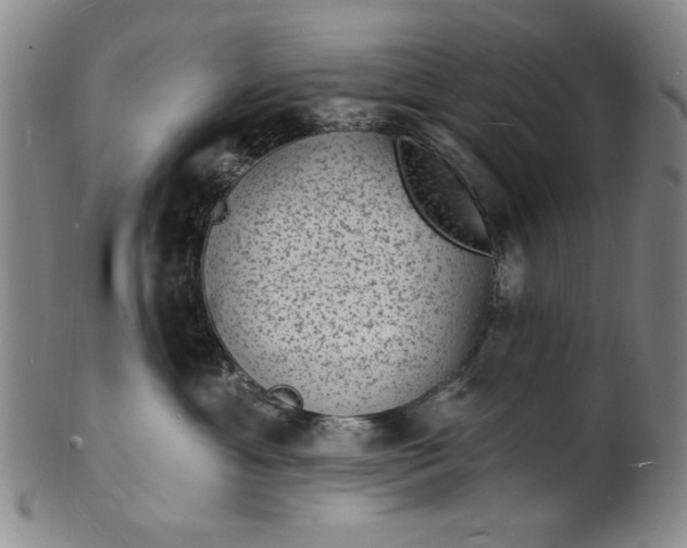 X0000102230429200808081352