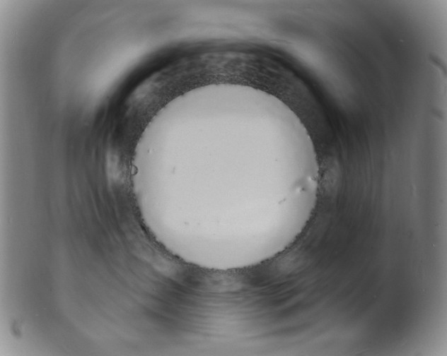 X0000102230431200808081352