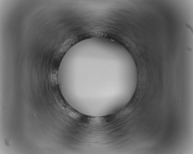 X0000102230432200808081352