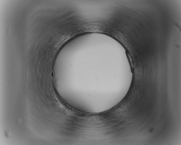 X0000102230433200808081351