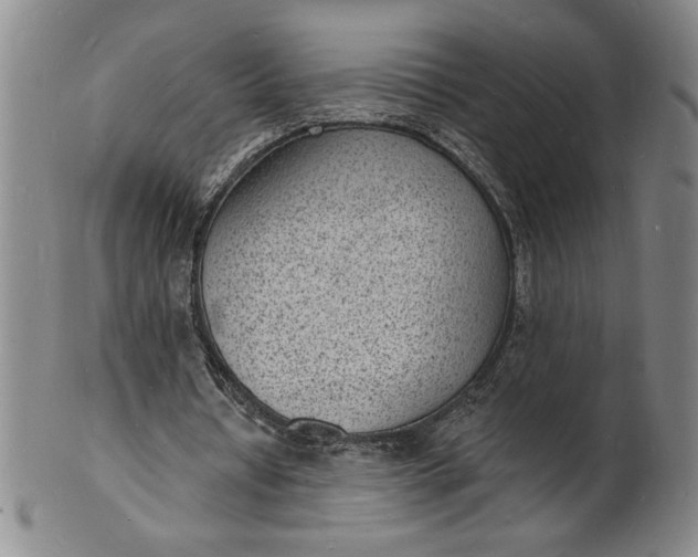 X0000102230434200808081351