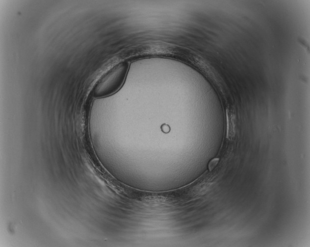 X0000102230435200808081351