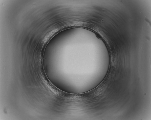 X0000102230437200808081351