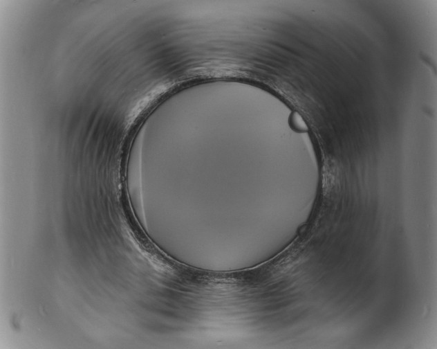 X0000102230438200808081351