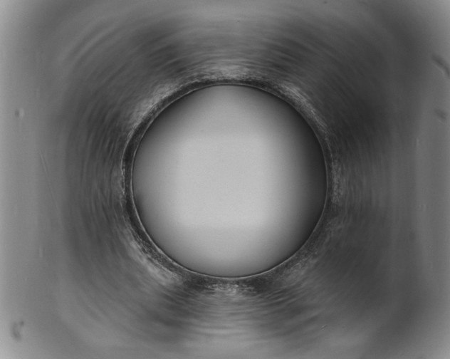 X0000102230439200808081351