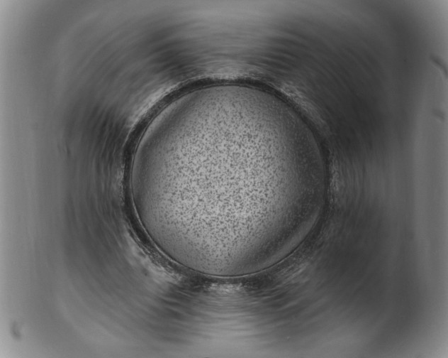 X0000102230440200808081351