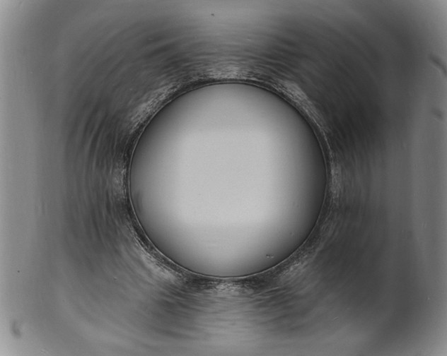 X0000102230441200808081351
