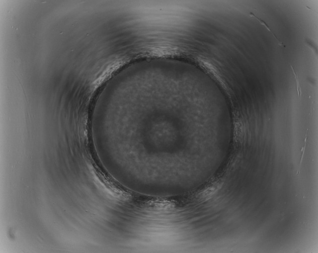 X0000102230443200808081351