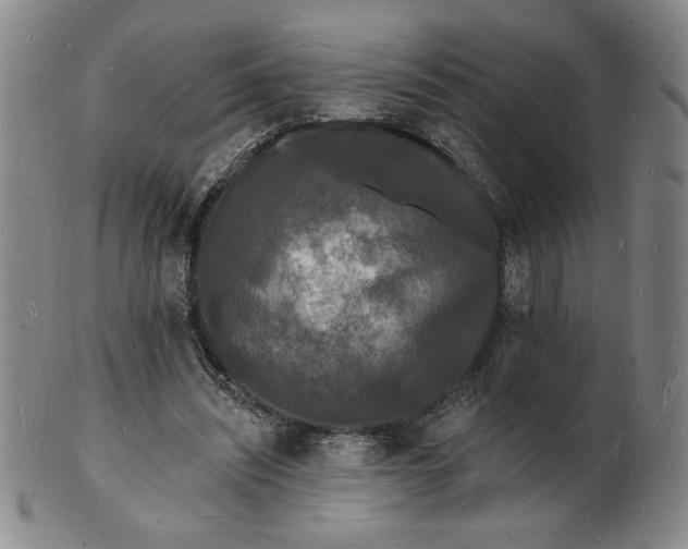 X0000102230444200808081351