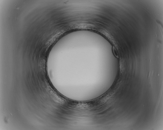 X0000102230445200808081351
