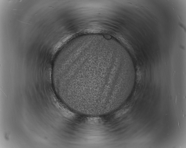 X0000102230446200808081351