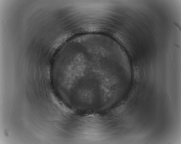 X0000102230447200808081351