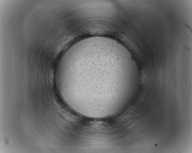 X0000102230448200808081351