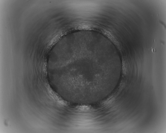 X0000102230449200808081351