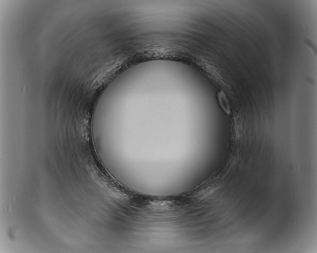 X0000102230450200808081351