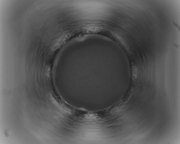 X0000102230451200808081351
