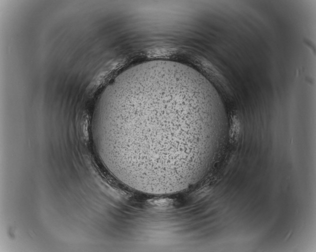 X0000102230452200808081351