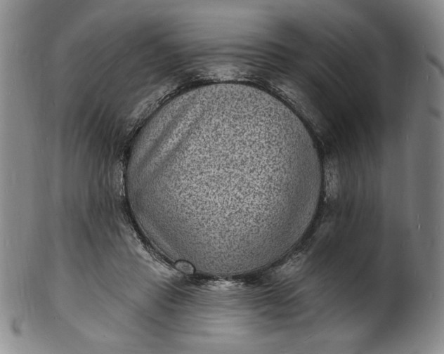 X0000102230453200808081351