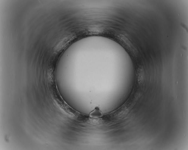 X0000102230455200808081351
