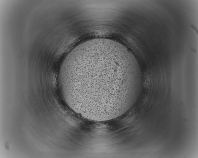 X0000102230456200808081351
